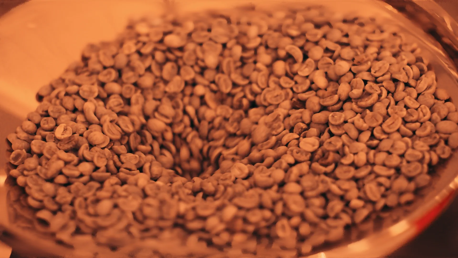 96 Coffee - palarnia