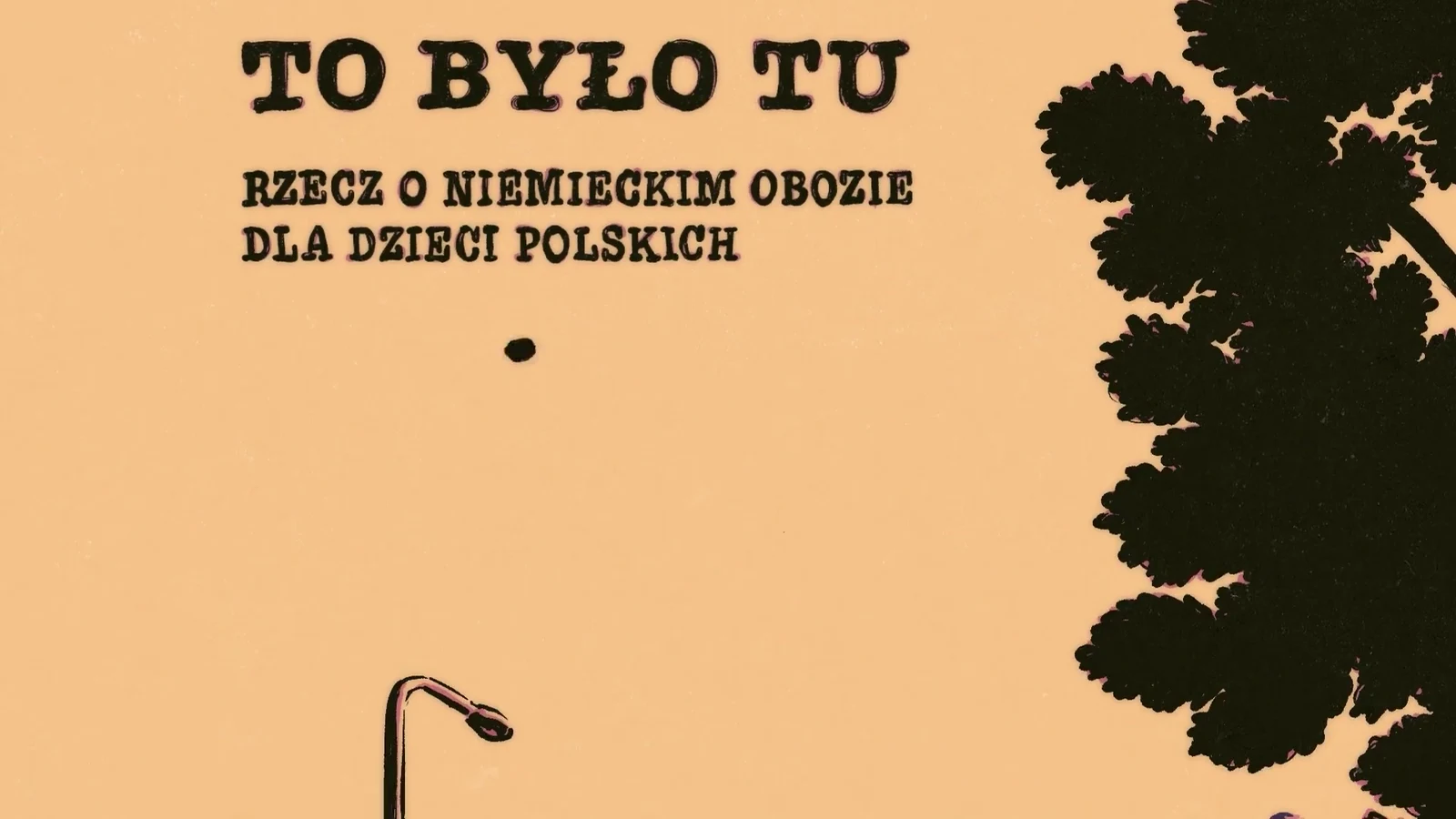 Kiedy kamera nie wystarczy