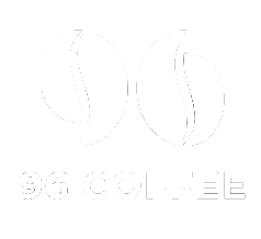 CEO/Owner 